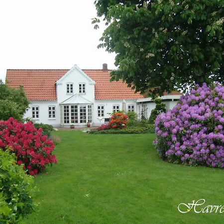 Havrevang *